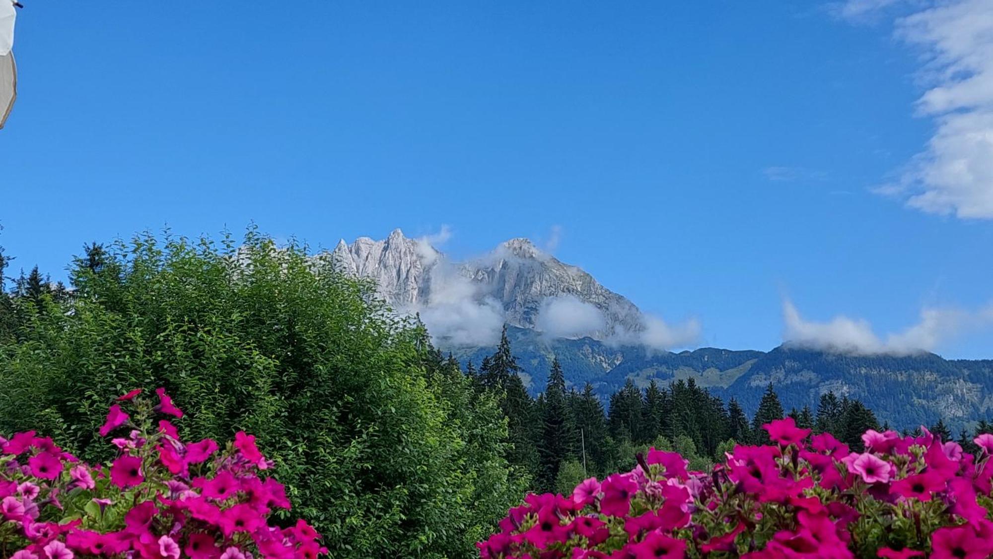 Gartenhotel Rosenhof Bei Kitzbuehel Оберндорф-ін-Тіроль Екстер'єр фото